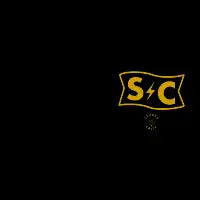 stupes flag gold - design