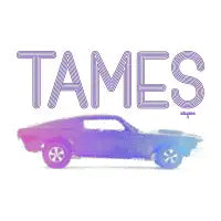 stupes tames - design