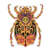 Disco Beetle - design