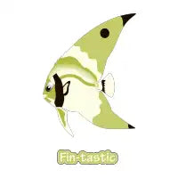 Fintastic Fish - design