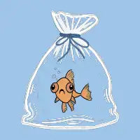 Goldfish Thoughts - design
