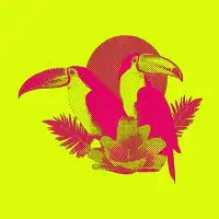 Acid Toucans - design