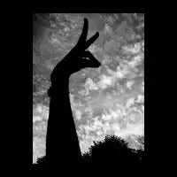 Bambi - design
