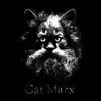 Cat Marx - design