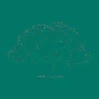 Dot Tree - design
