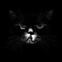 Rot Cat - design