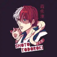 Todoroki! - design