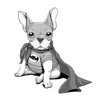French Batdog - design