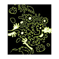 Bloom - design