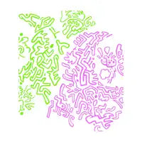 Chewy - design