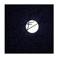 Cold Moon - design
