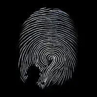 Sherlock - design