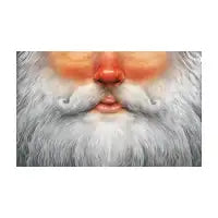Santa - design