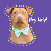 Hey Lady! - design
