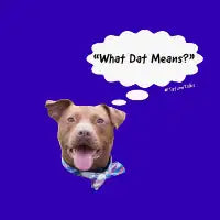 What Dat Means? Thought bubble - design