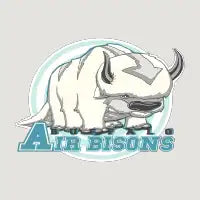 Buffalo Air Bisons - design