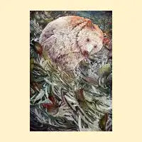 Great Bear Rainforest - design