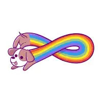 Infinite Rainbow Dog - design