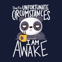 Morning Panda - design