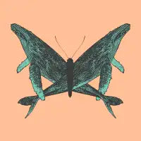 Butterfly Whales - design