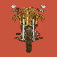 Cobra Motorcycle - design