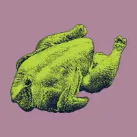 Chicken - design