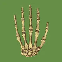 Hand - design