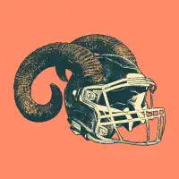 Helmet - design