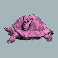The Rabbit & The Turtle - design