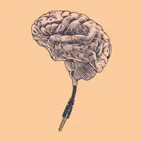 Plug it - design