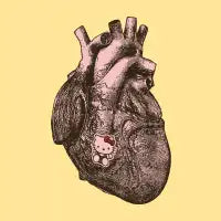 Soft Heart - design