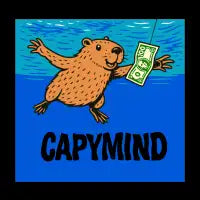 Capymind - design