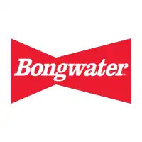BONGWATER Classic Bowtie Logo Bootleg - design