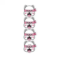 TOA NINJA NEKO - design