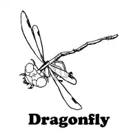 dragonfly - design
