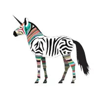 colorful zebricorn - design