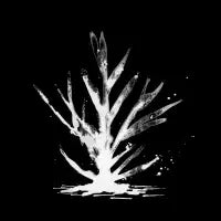 Coral - design