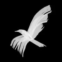 Soaring Bird - design
