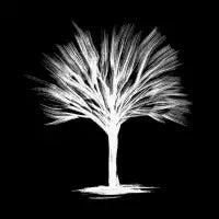 Winter Tree - design