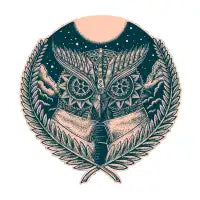 All Seeing Owl - design