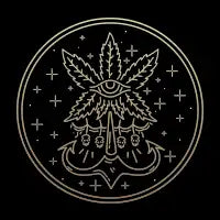Occult VIbes - design