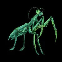 Praying Mantis - design
