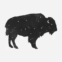 Mystic Buffalo - design