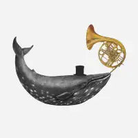 Whale Song - design