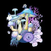 Cosmic Mushroom Garden - design