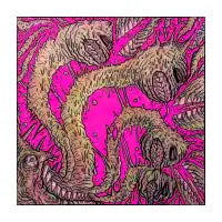 neon - design