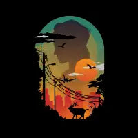 Transitions - design