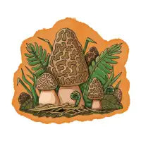 Morel Magic - design