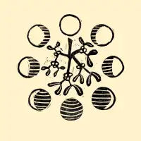 Druid Dynamics - design