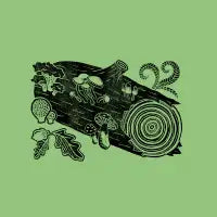 Logging On - design
